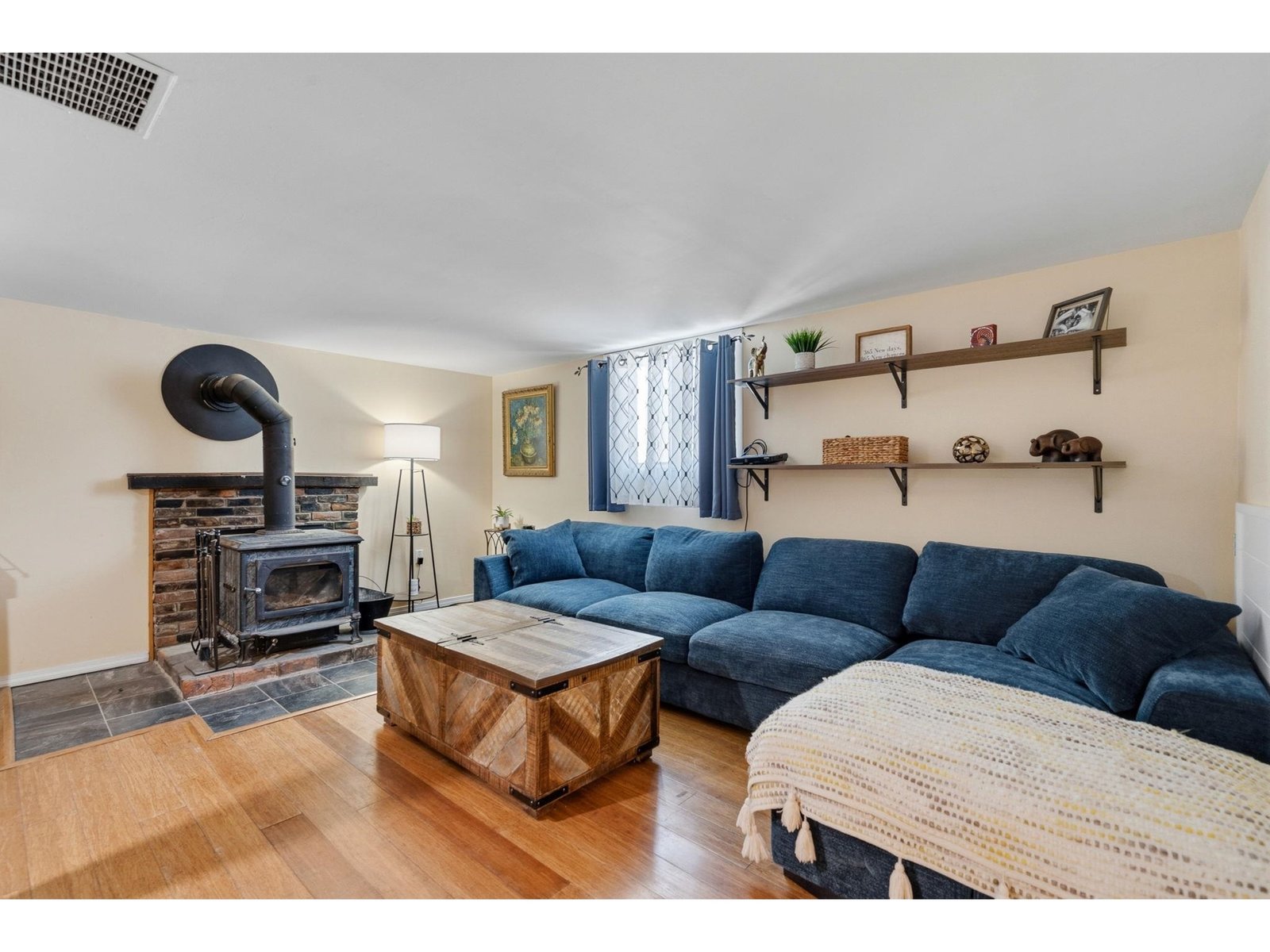 Lower family room with wood stove