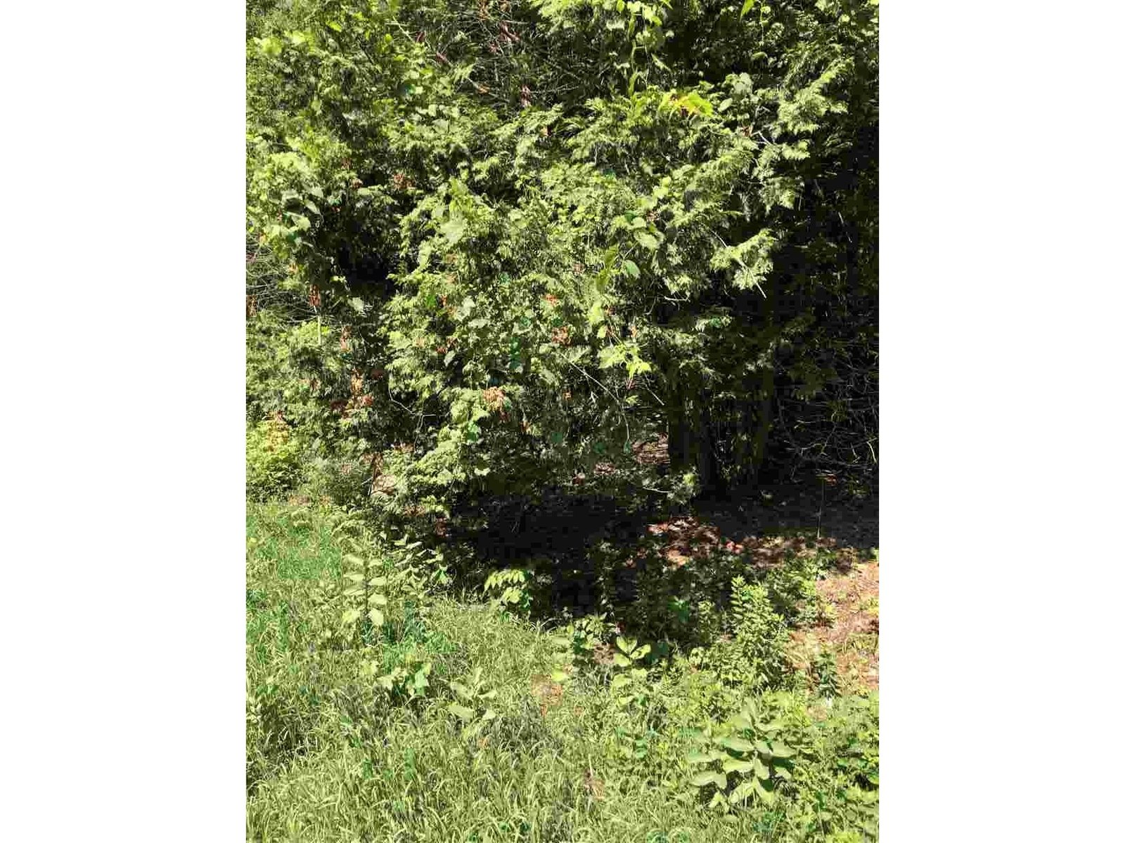 263 Sandy Bay Lot 67 Road