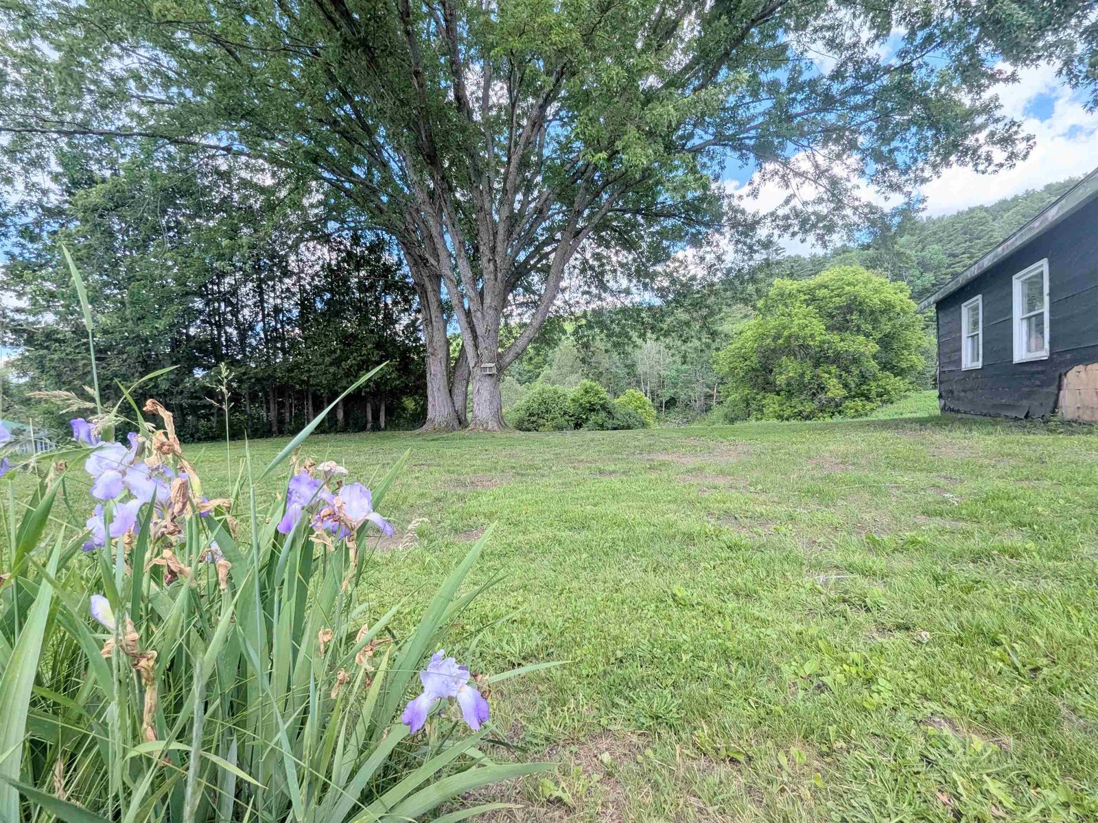 264 Breezy Hill Road