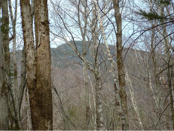 264 Stevensville Rd