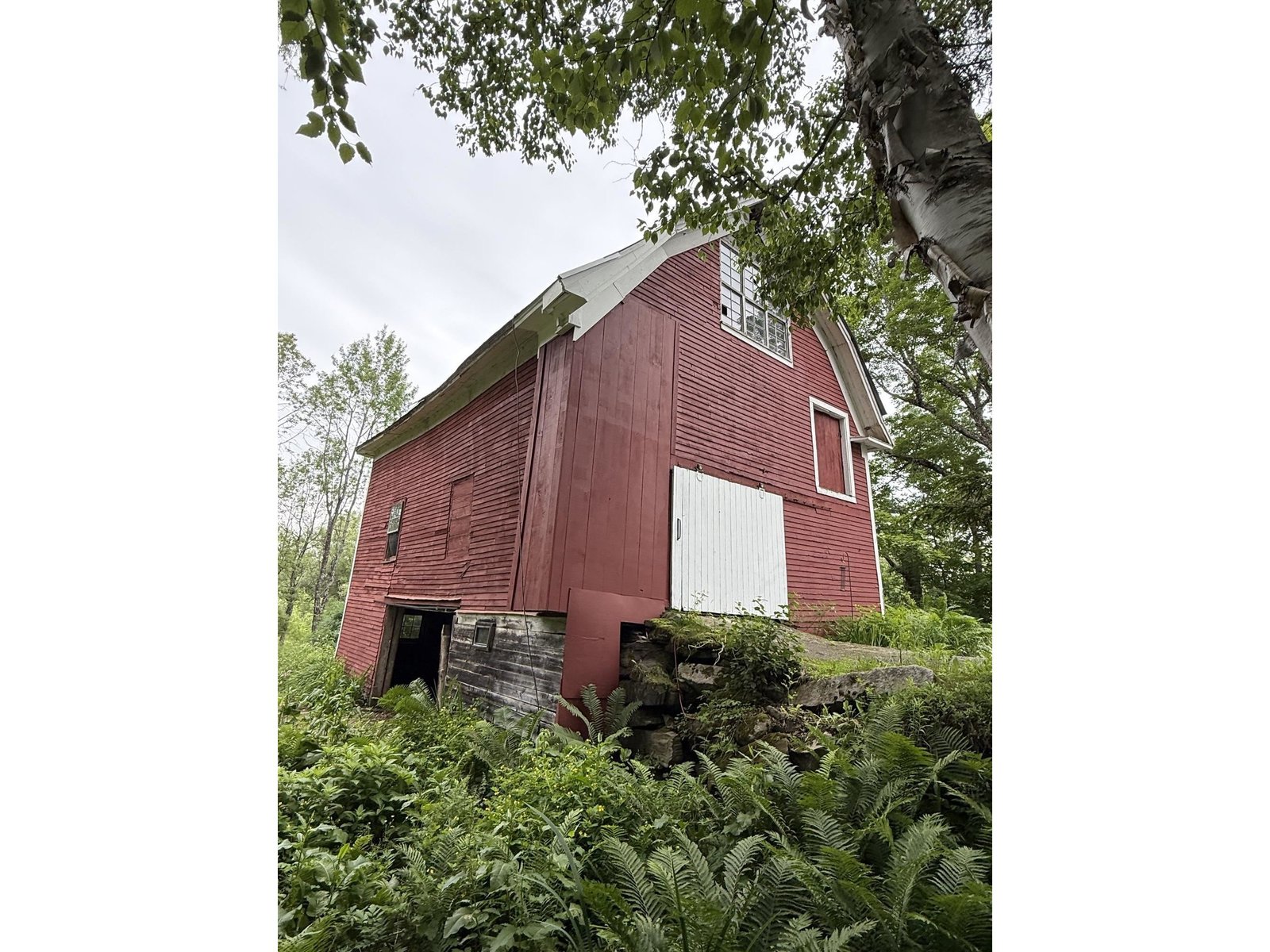 2650 Tampico Road