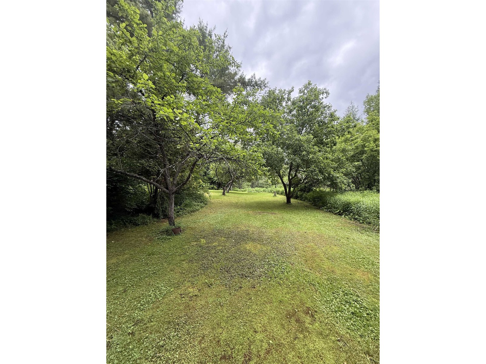 2650 Tampico Road