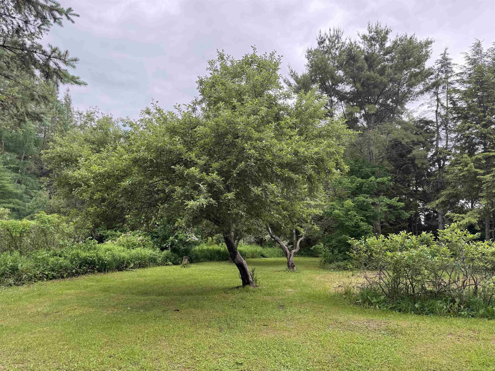 2650 Tampico Road