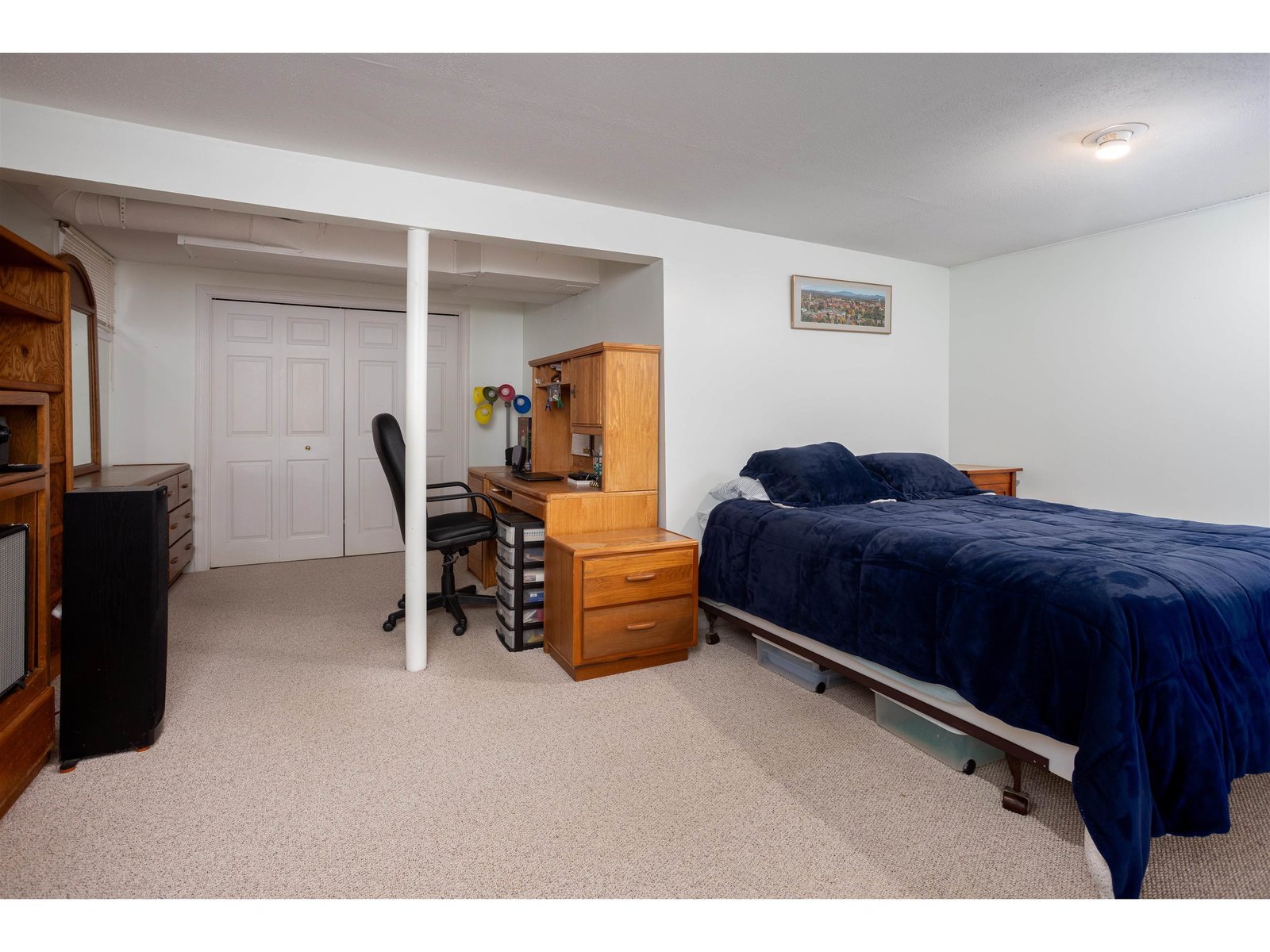 Basement Bonus Room