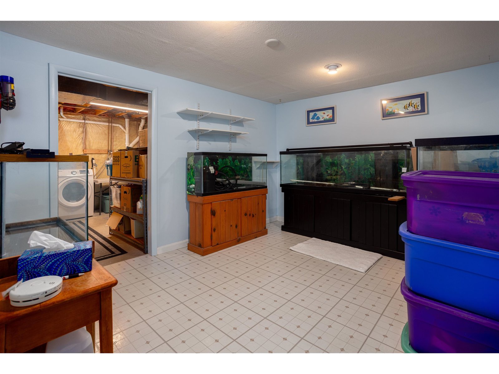 Basement Bonus Room 2
