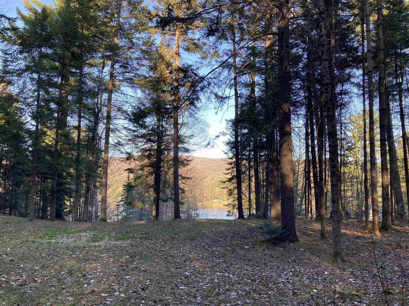 267 Camp Road