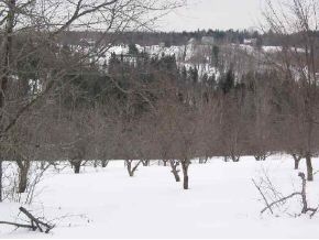 268 Richard Woolcutt Rd.