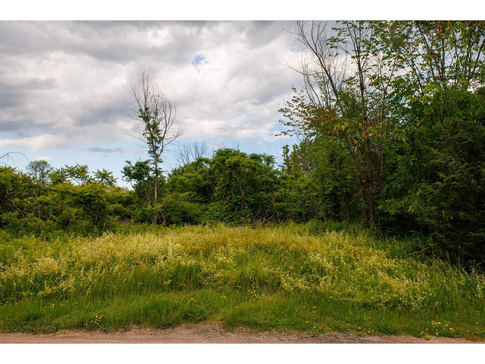 Lakefront Lot