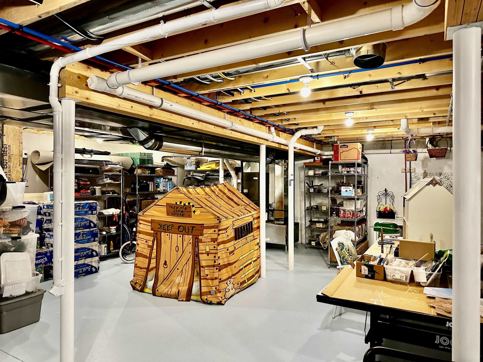 Basement Storage