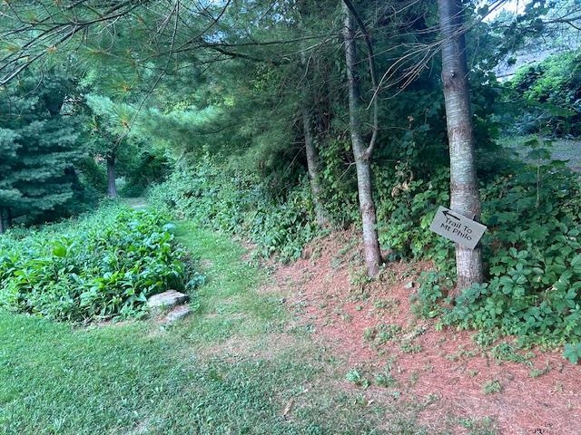 Trail to Mt. Philo