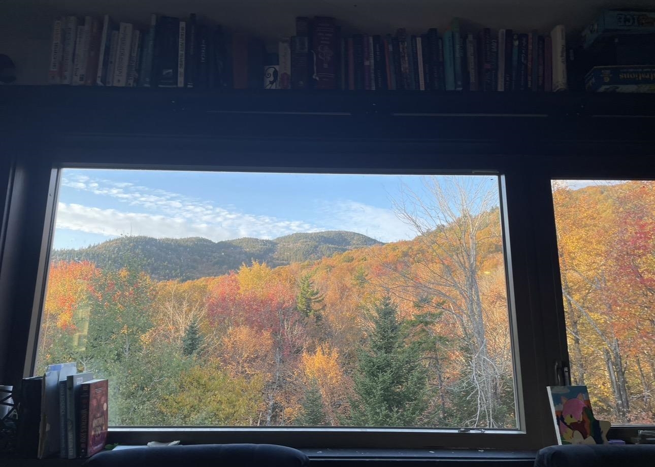 Fall View!