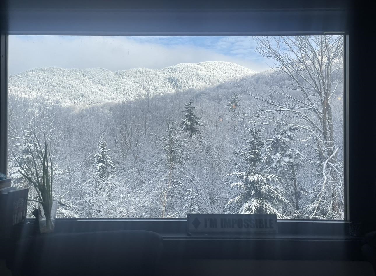Winter View!