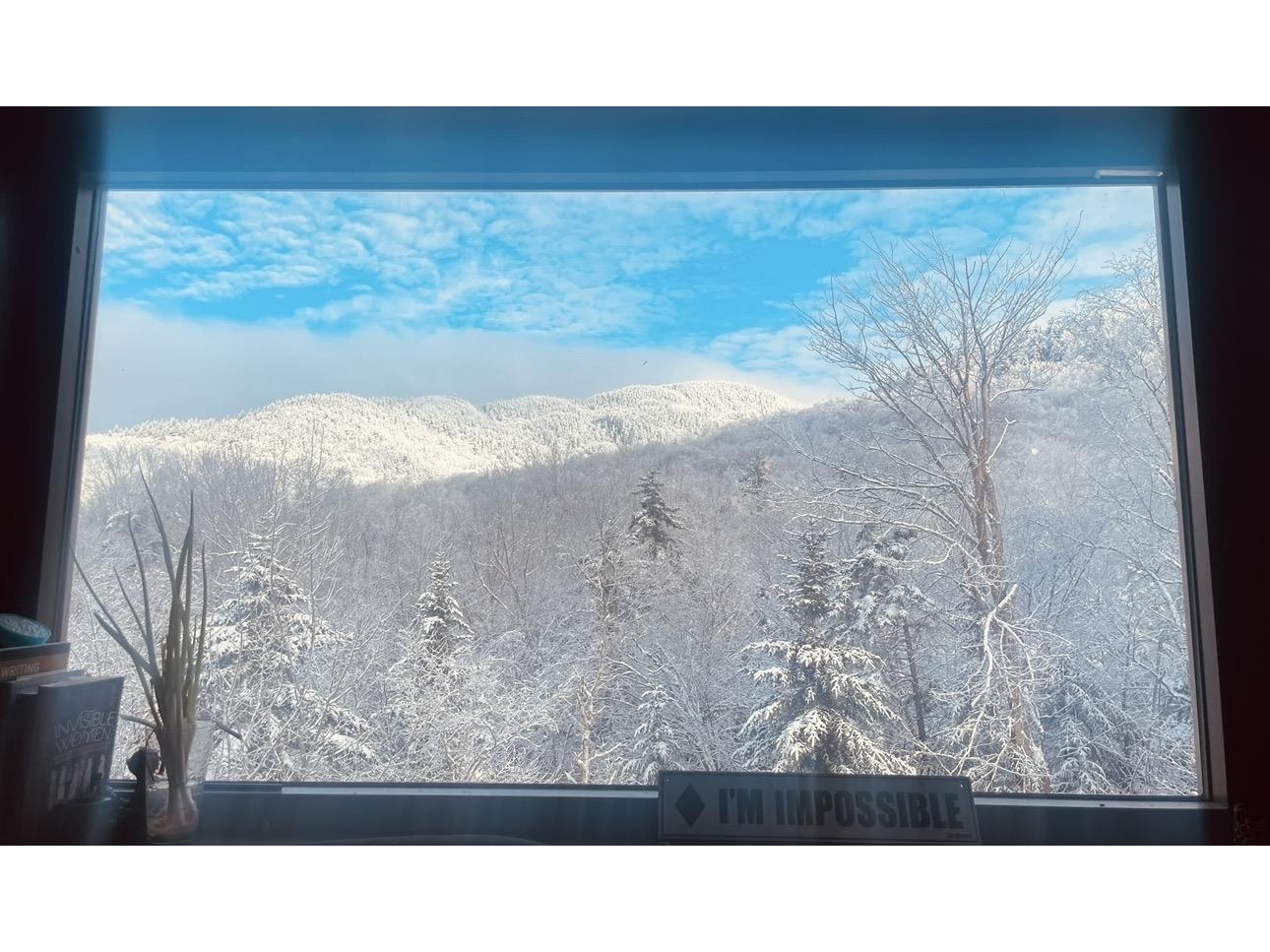 Winter View 2