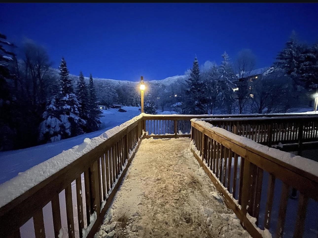Walkway at Night