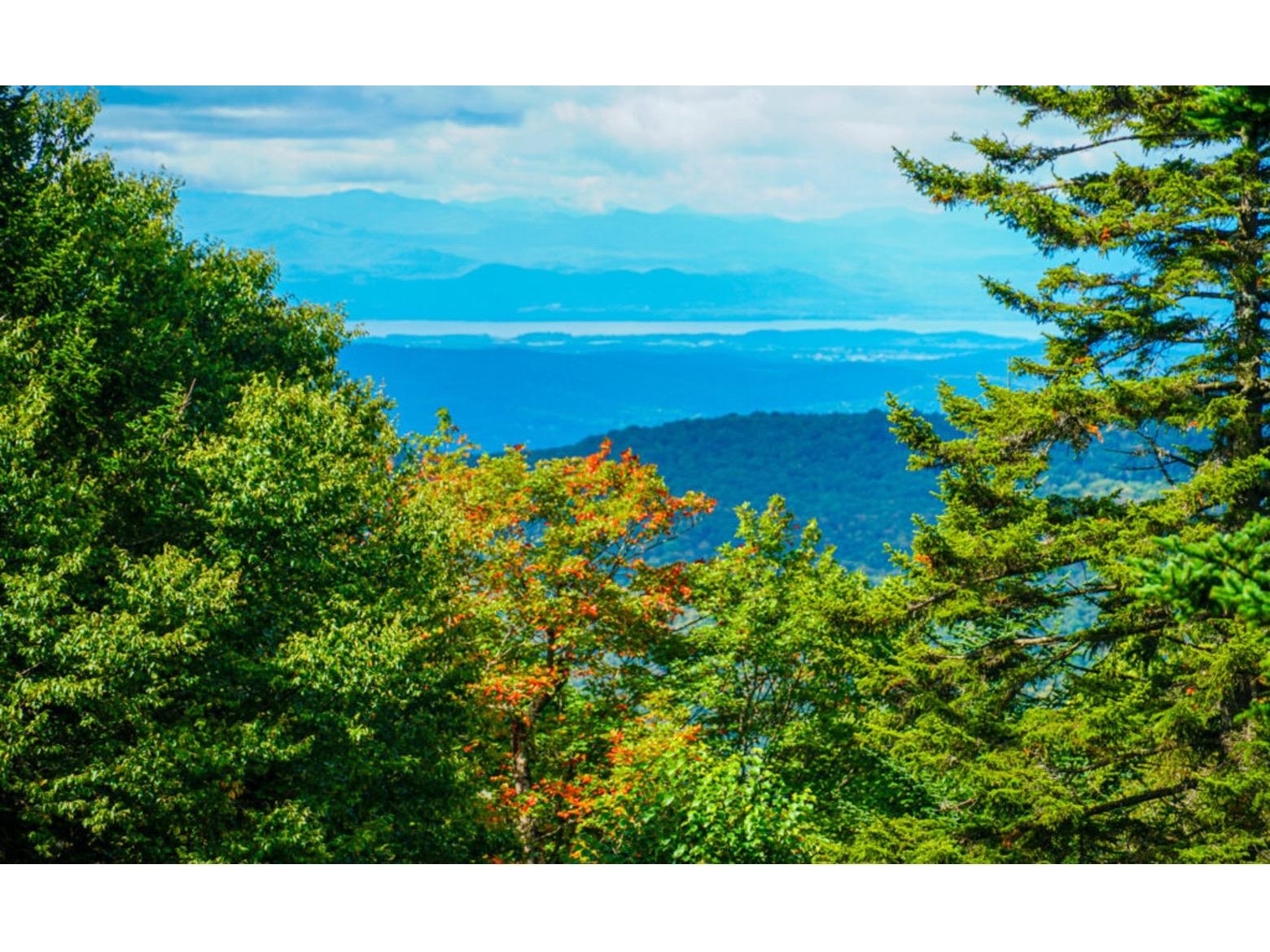 27 Nature Trail Road, Unit 308