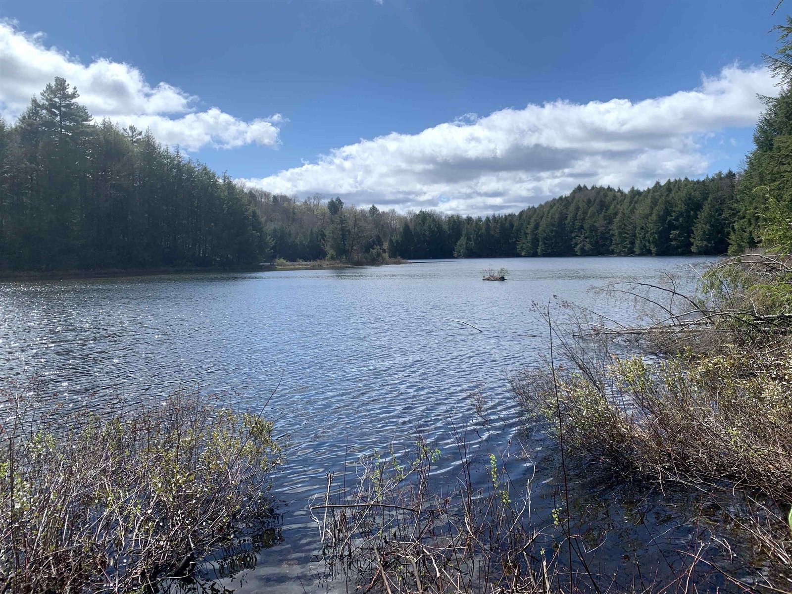 Sabin Pond/Woodbury Lake
