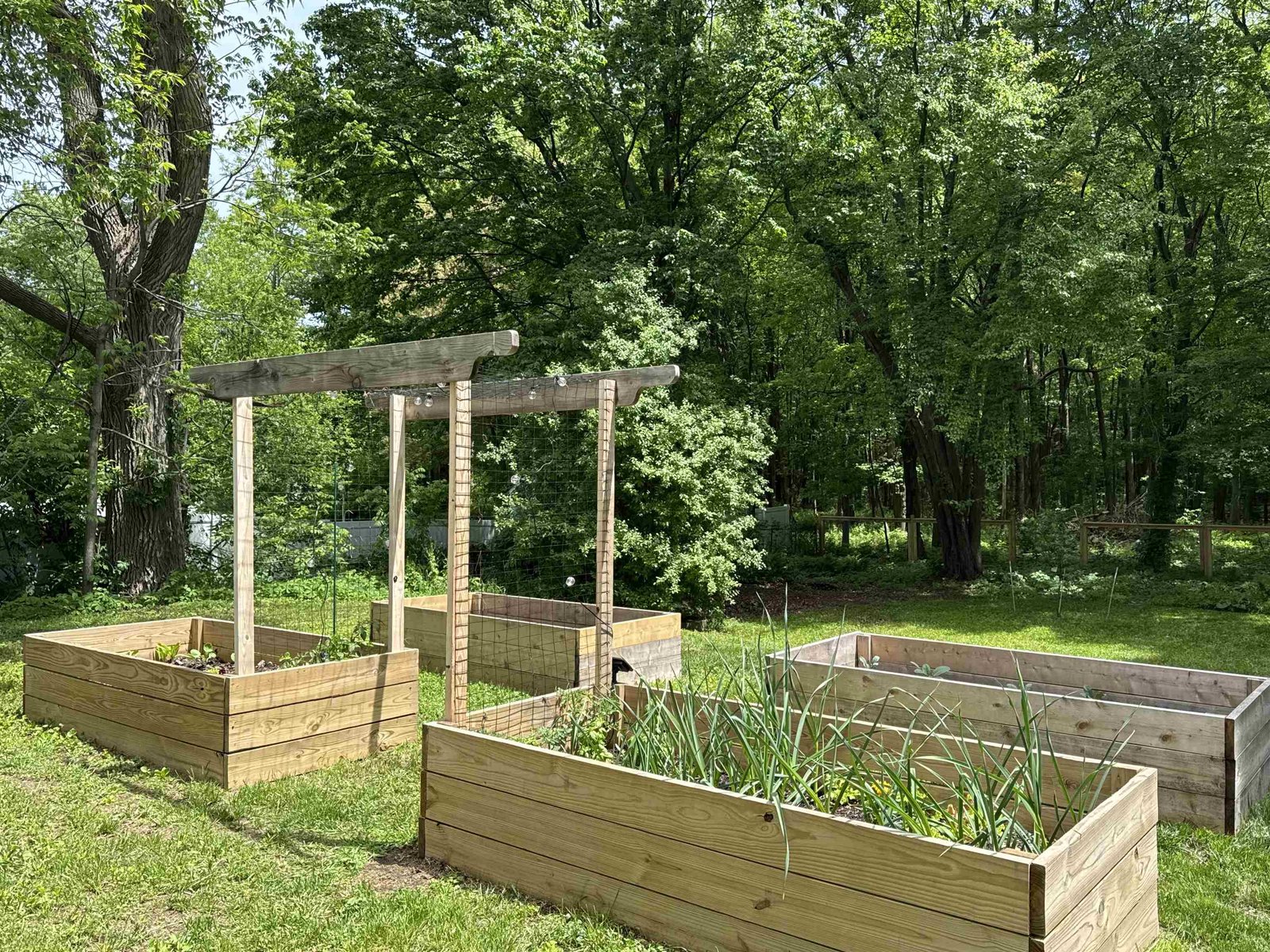 Raise beds