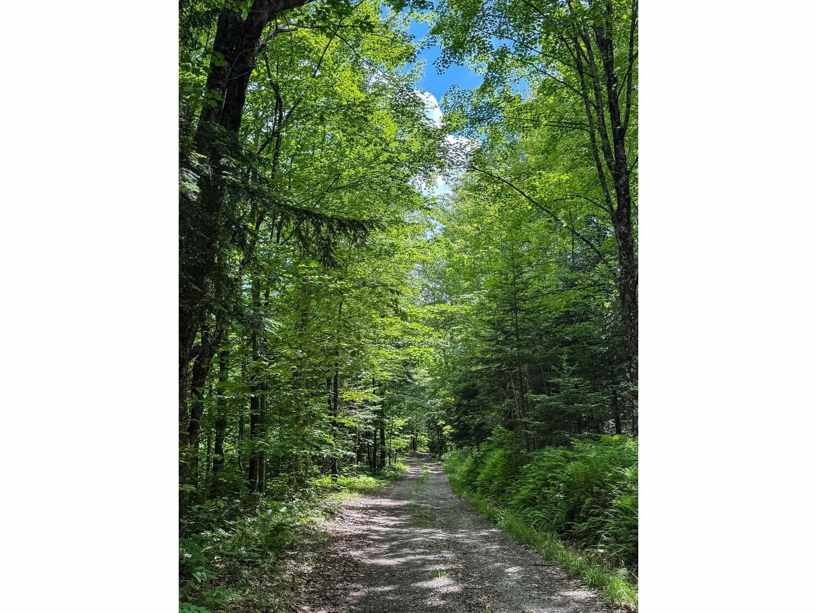 273 Guyette Road