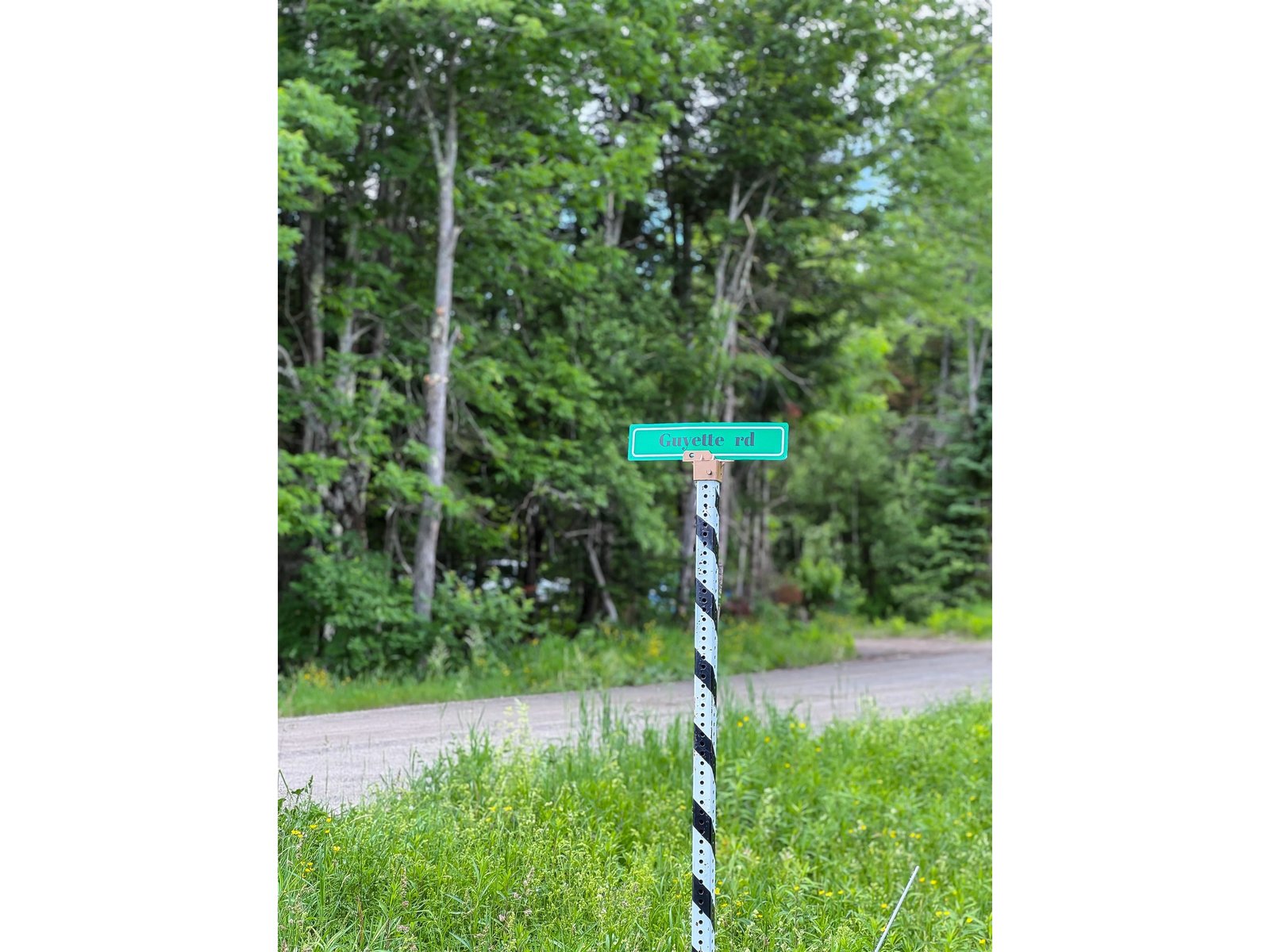 273 Guyette Road