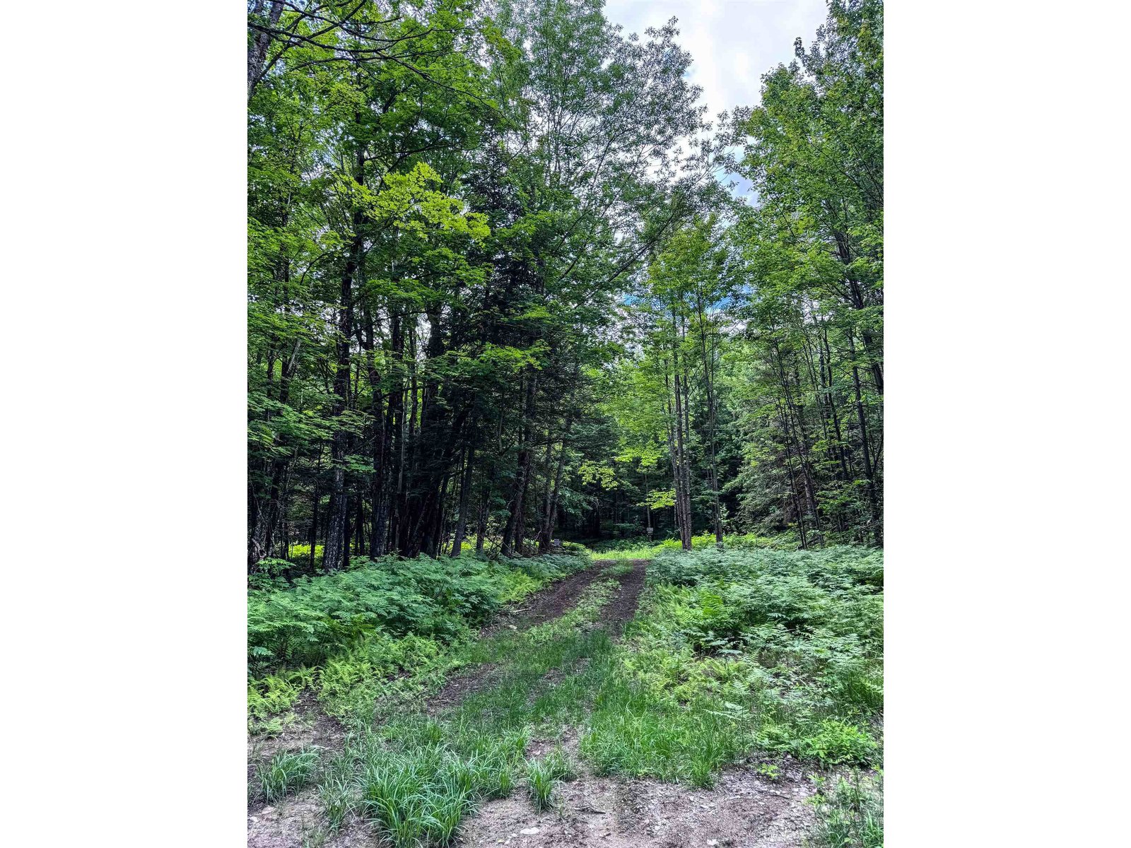 273 Guyette Road