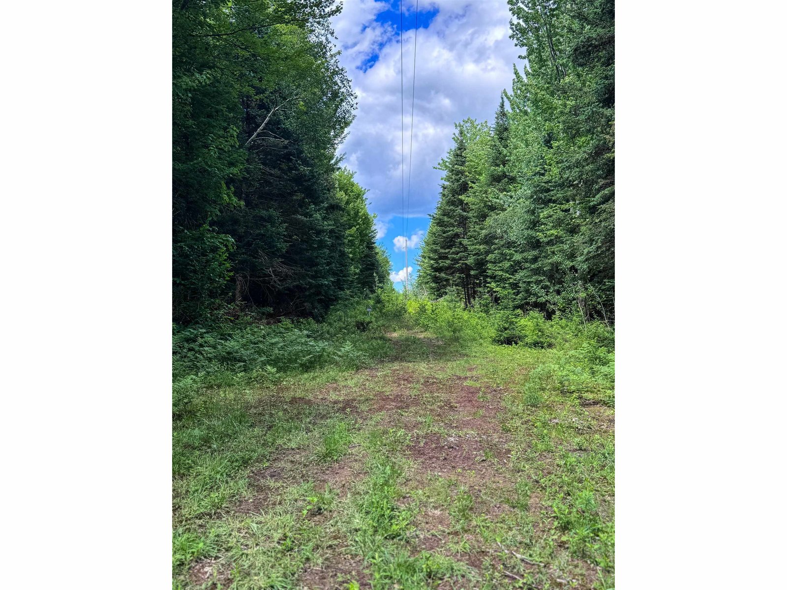 273 Guyette Road