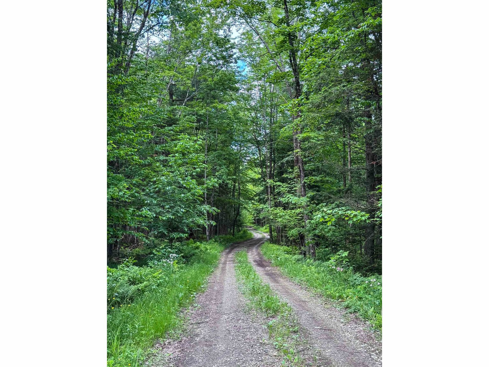 273 Guyette Road