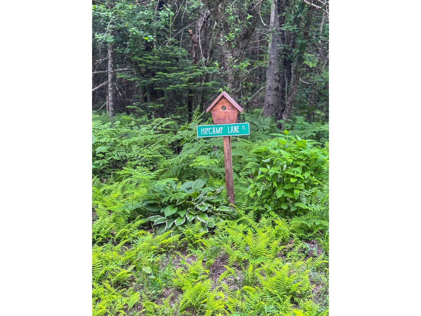 273 Guyette Road