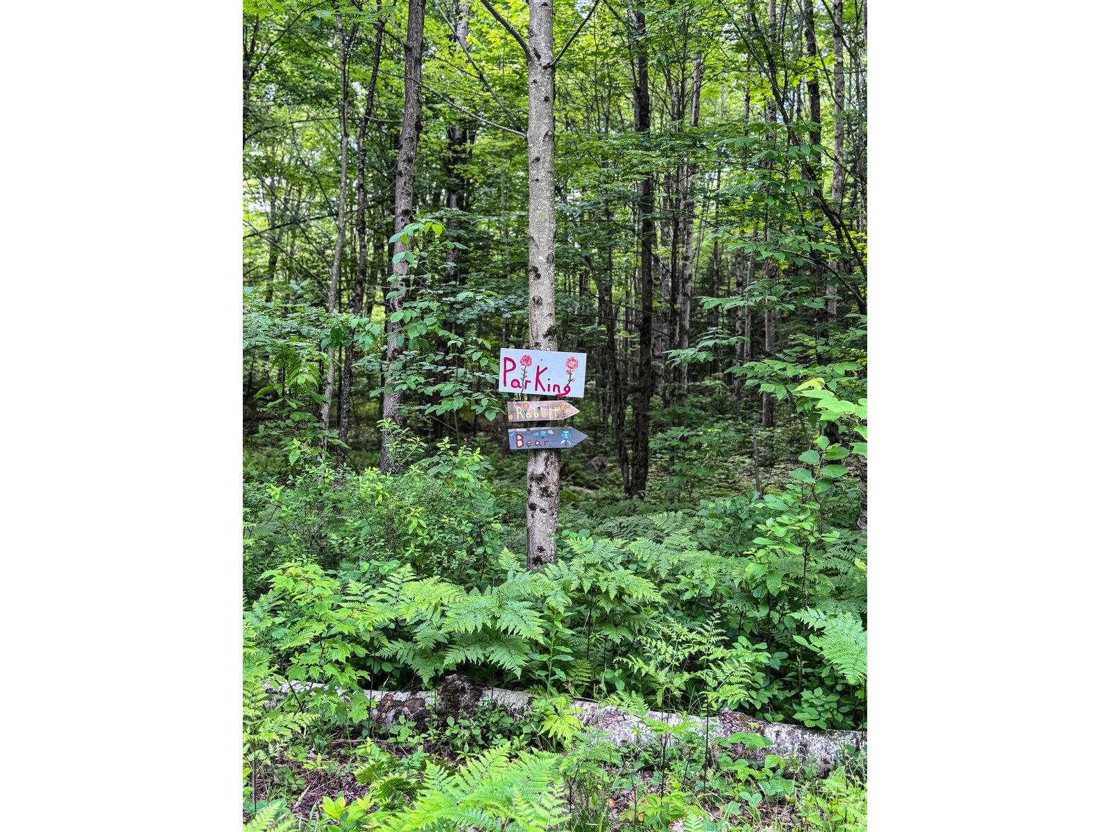 273 Guyette Road
