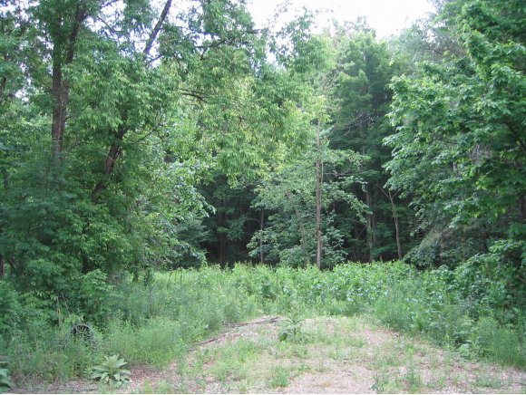 274 West Sleepy Hollow Rd