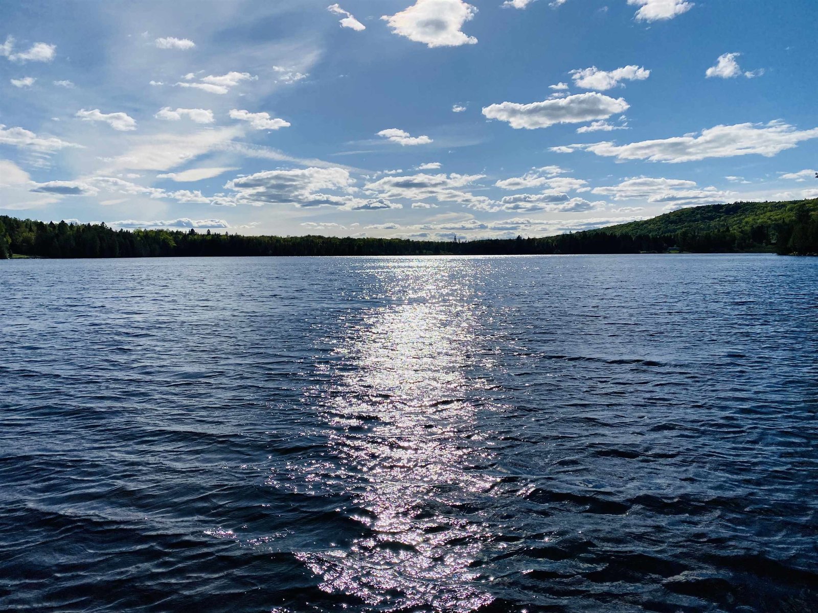 279 Daniels Pond Road