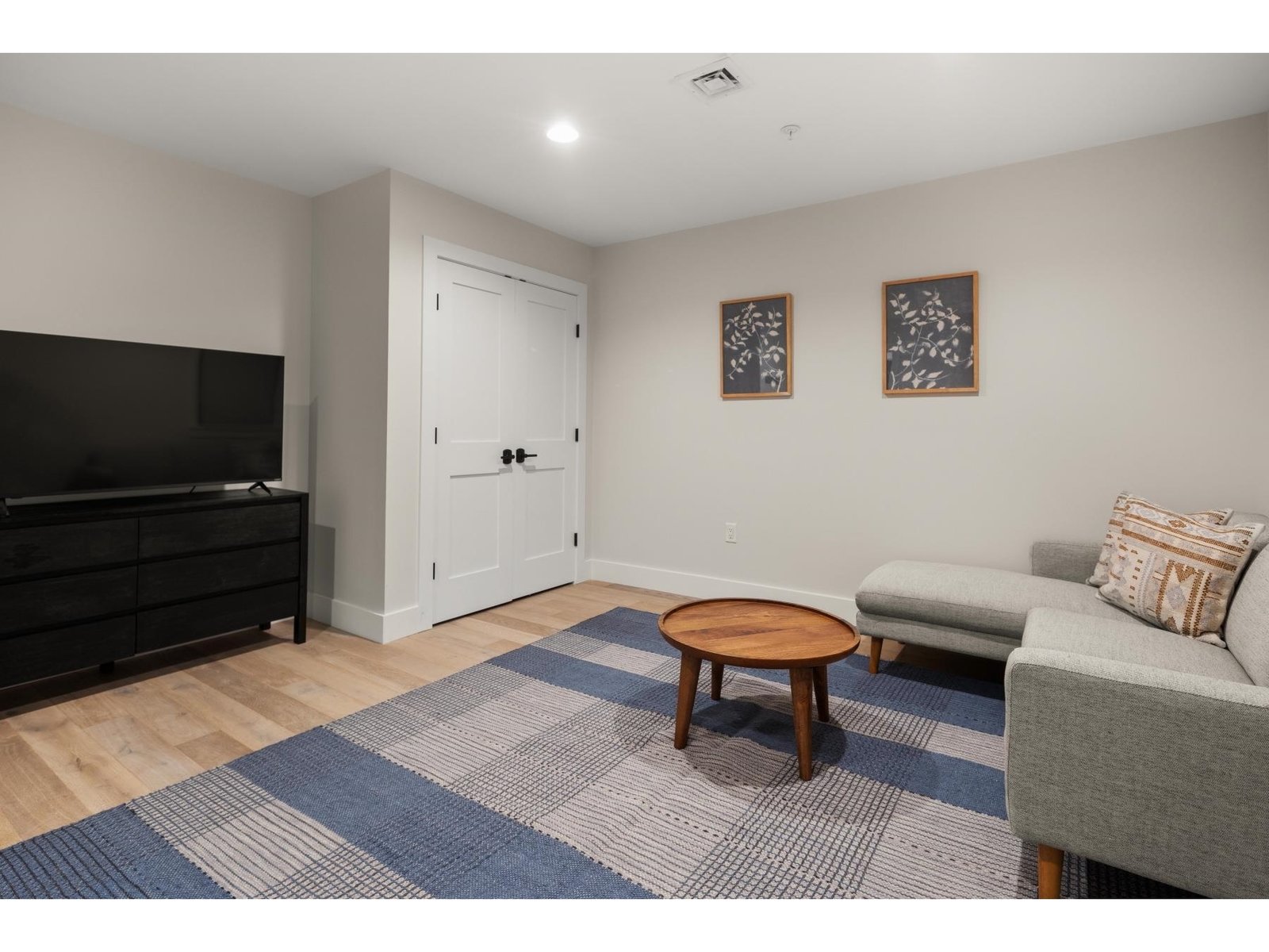 Lower level family room