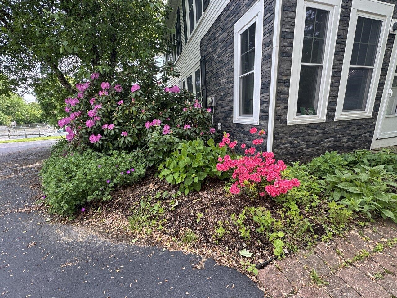 Gorgeous Landscaping