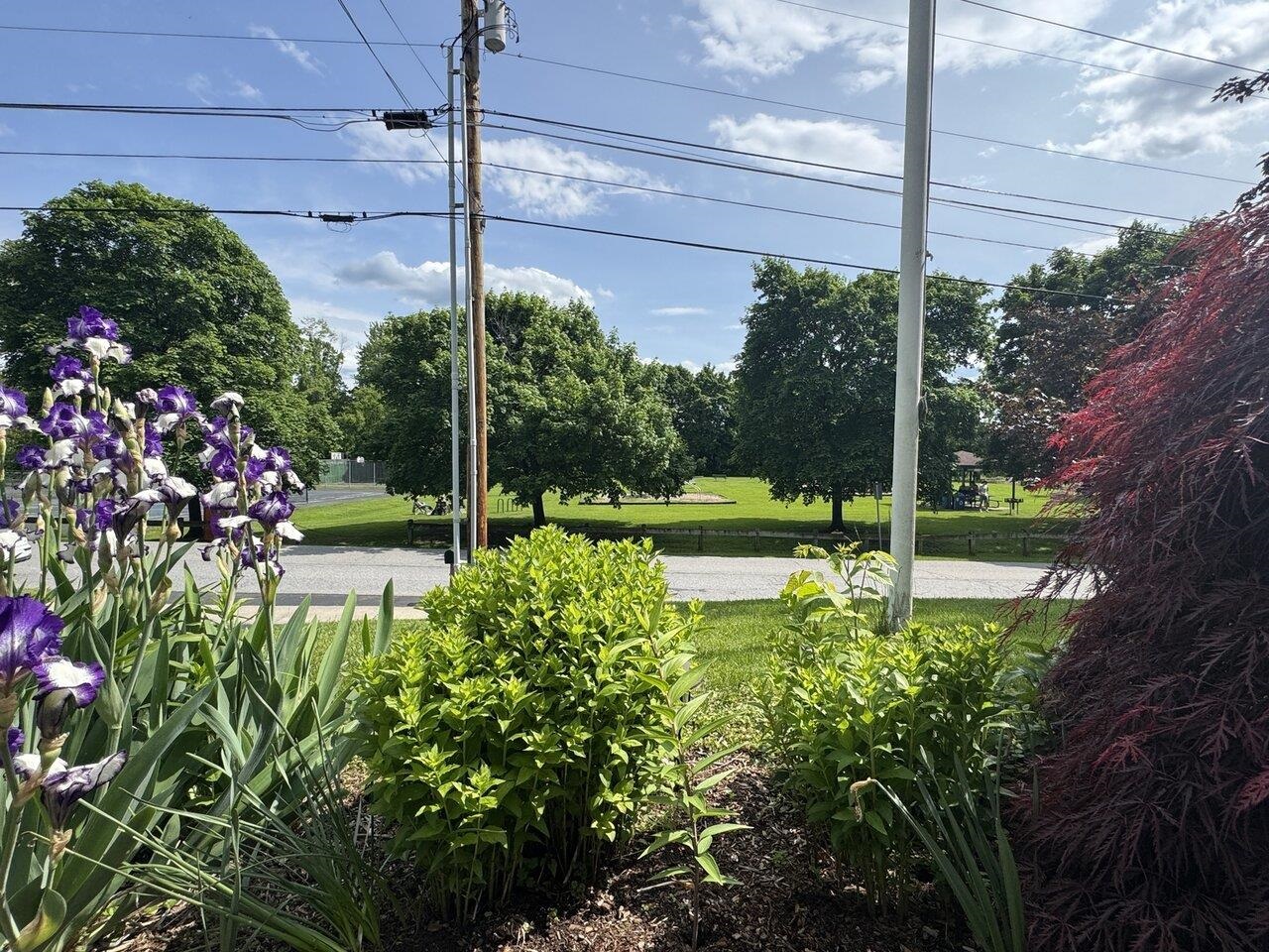 Cascade Park Across the Road
