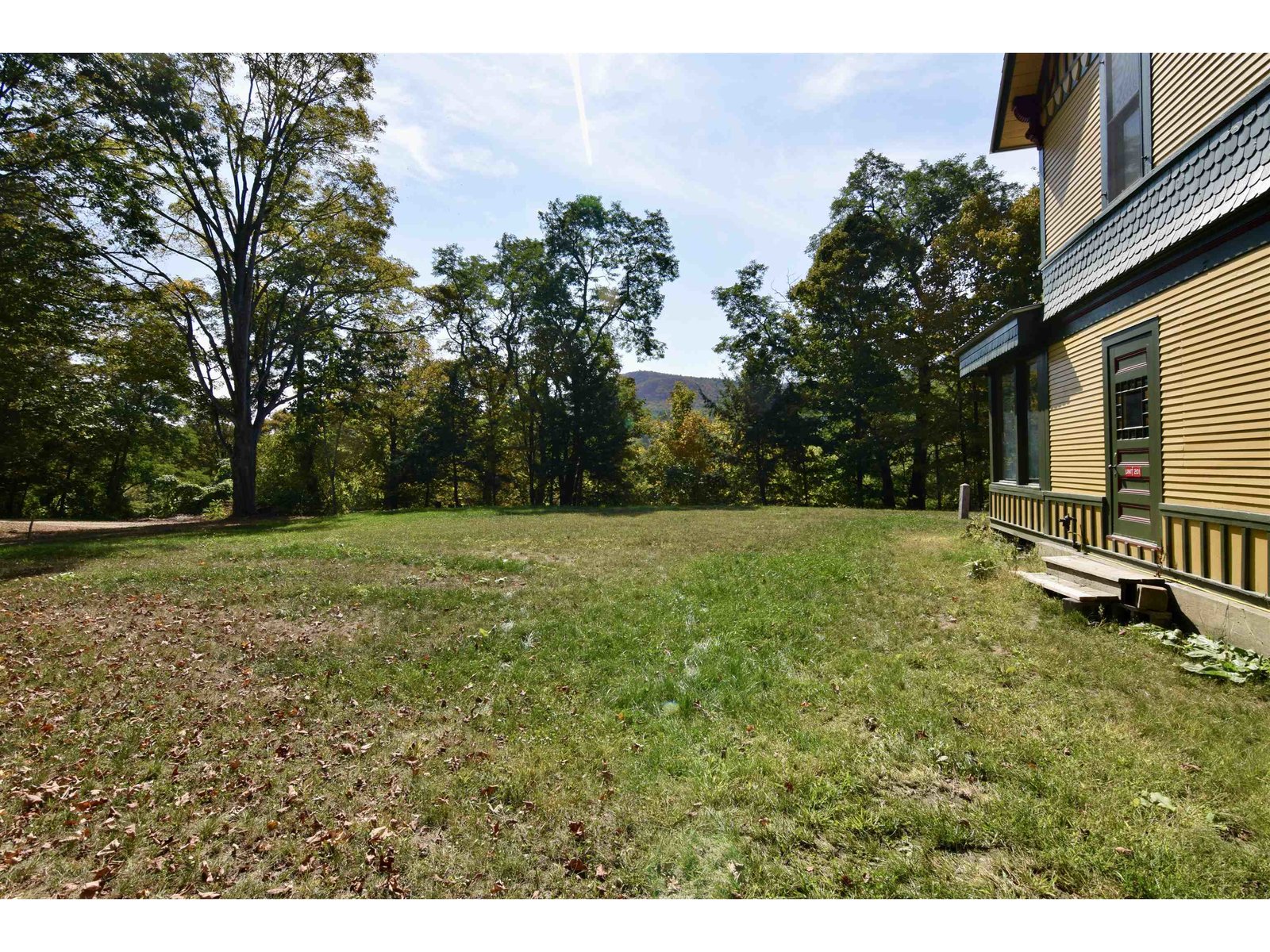 Flat Back Yard
