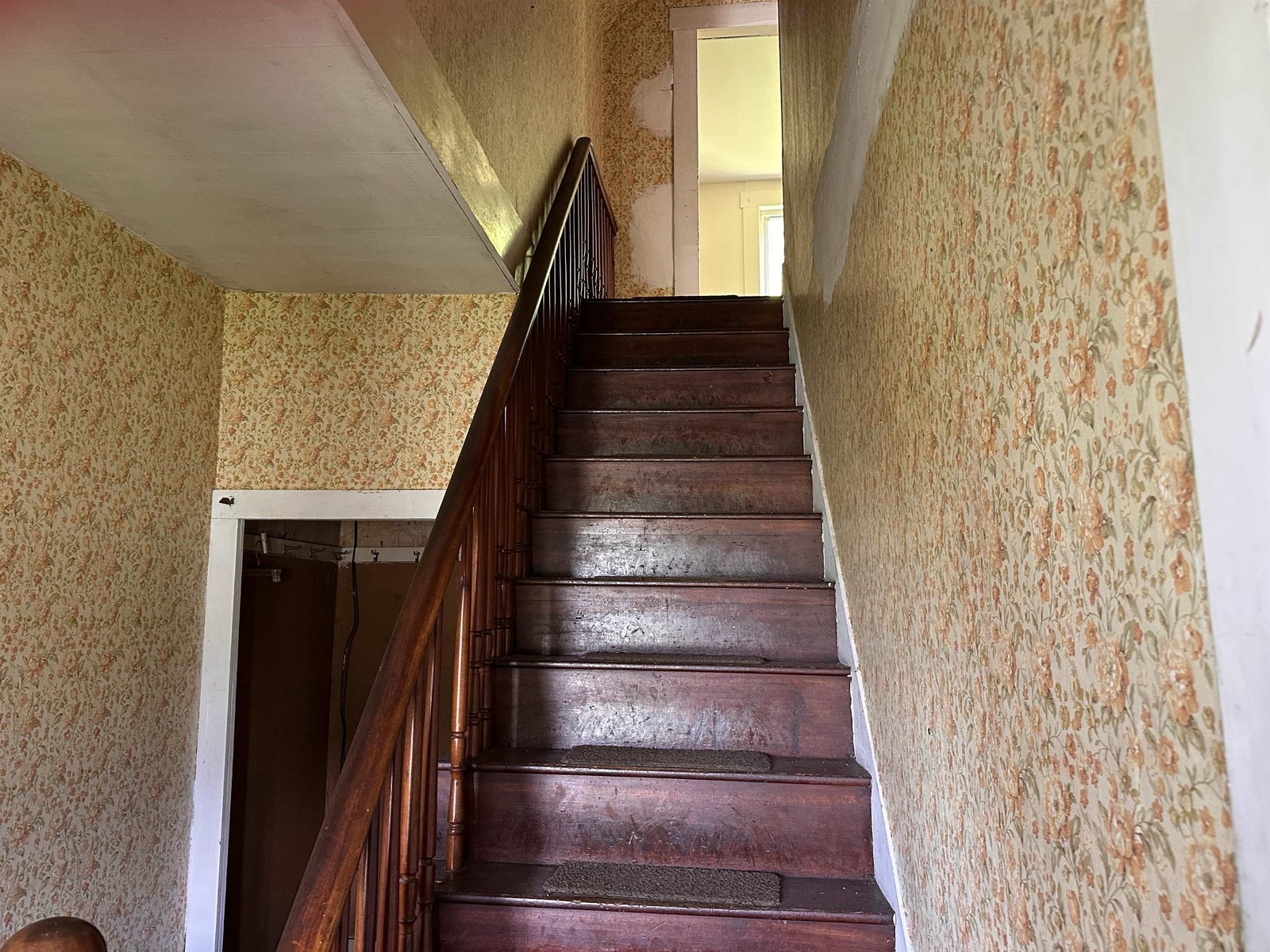 28 Stevens Loop