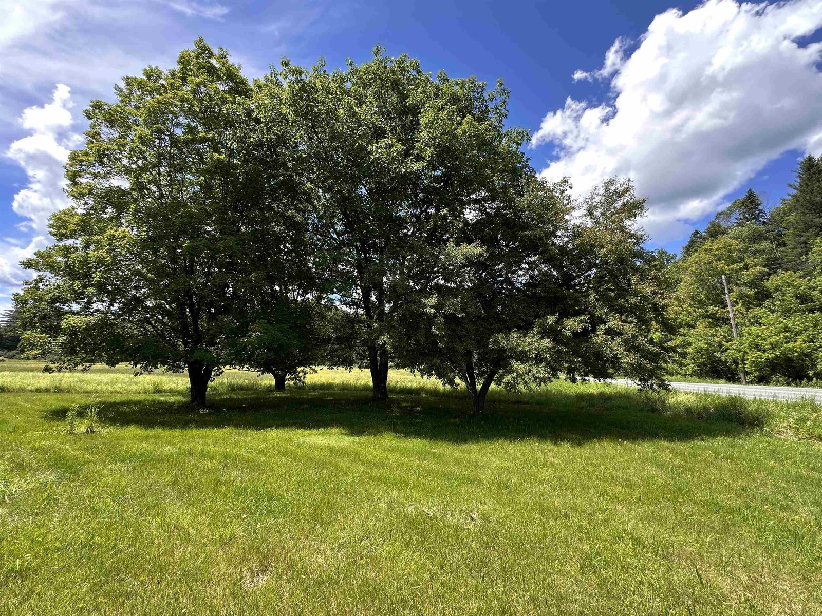 28 Stevens Loop