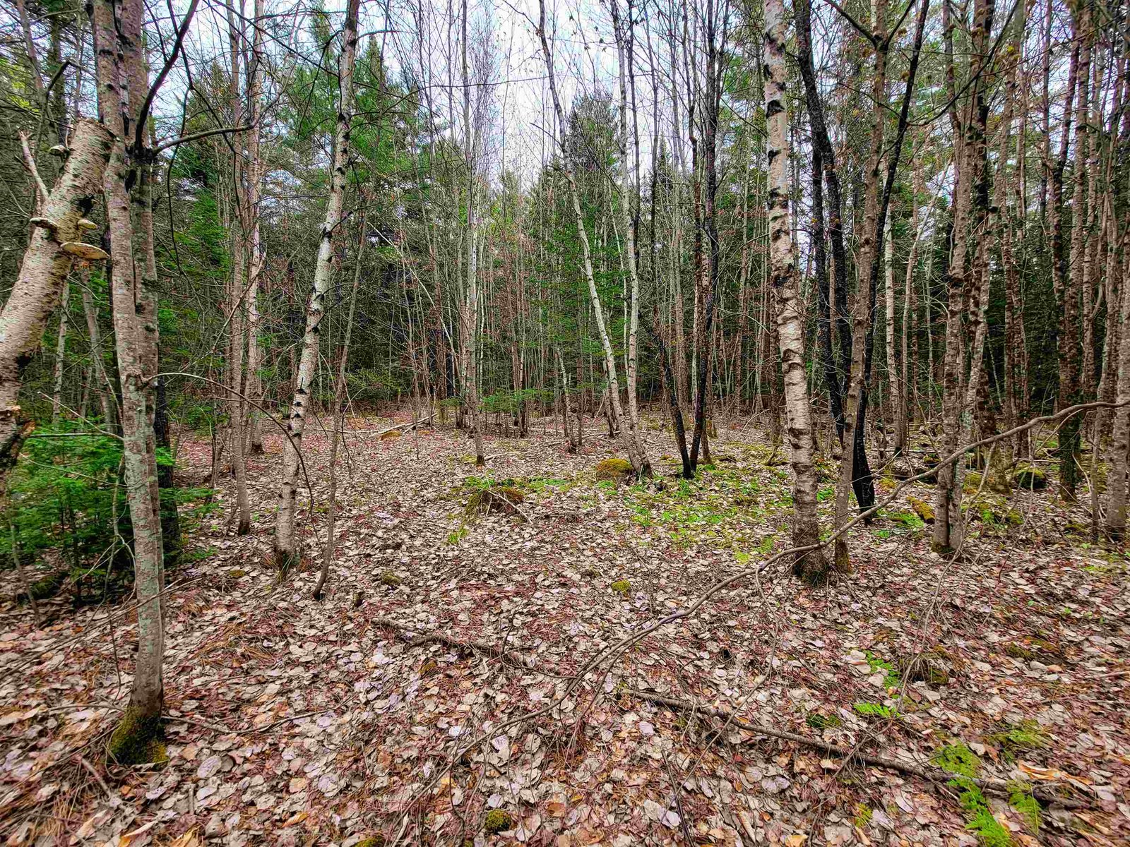 280 Guyette Road