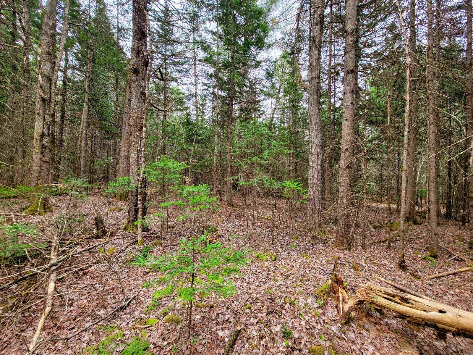 280 Guyette Road