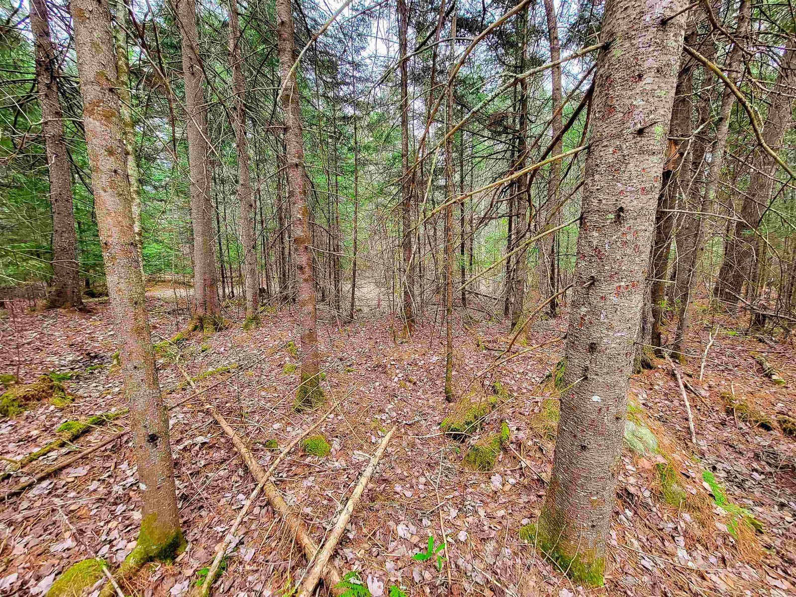 280 Guyette Road