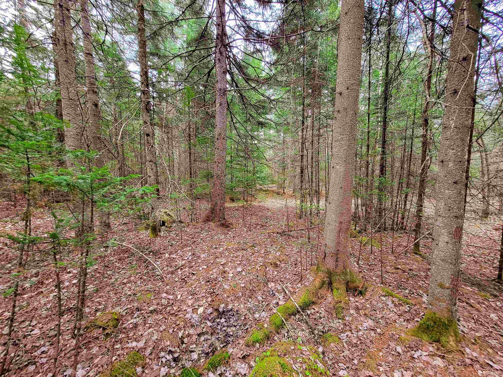 280 Guyette Road