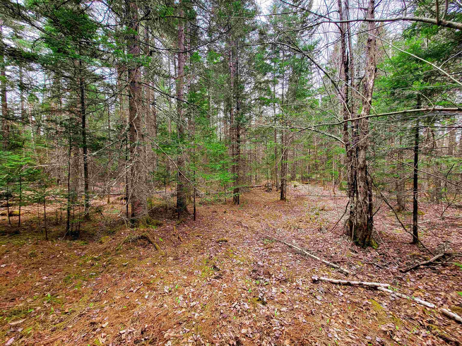 280 Guyette Road
