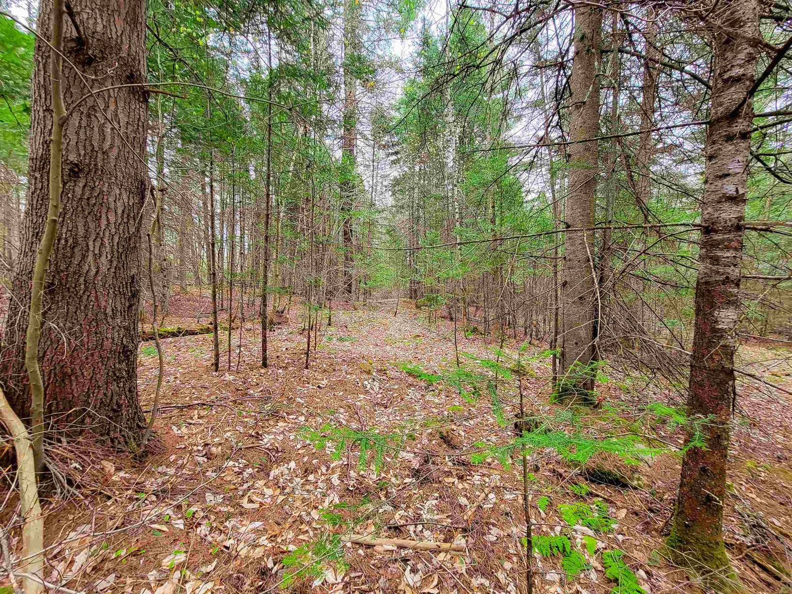 280 Guyette Road
