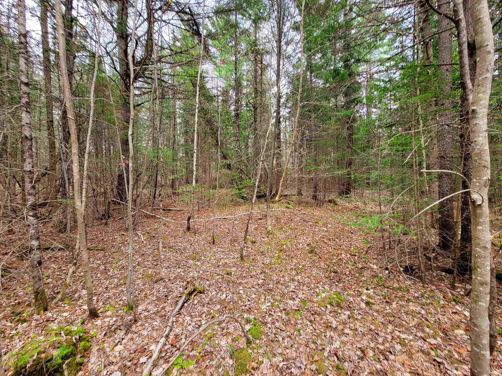 280 Guyette Road