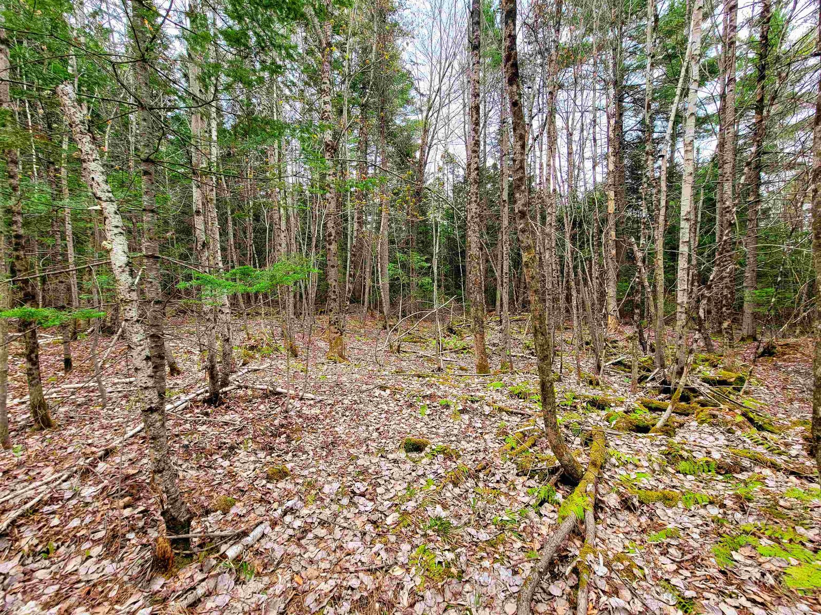 280 Guyette Road