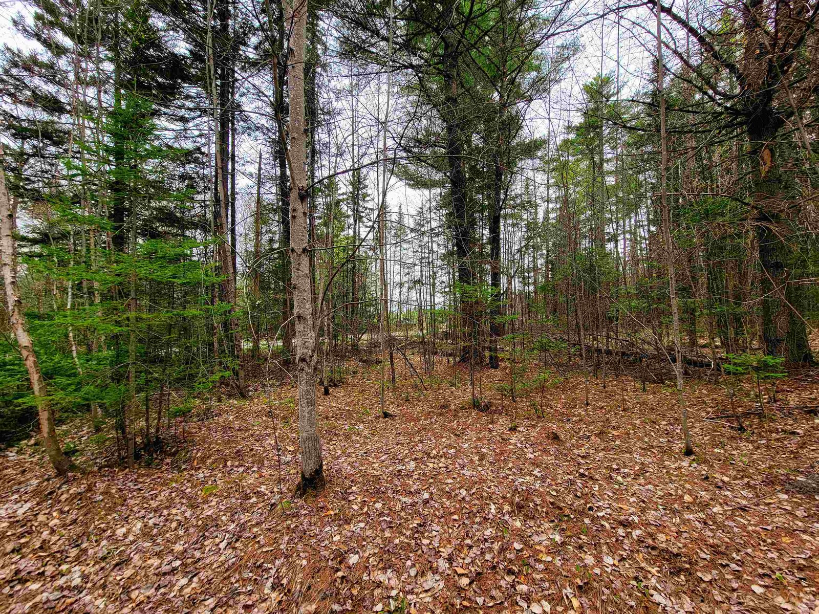 280 Guyette Road