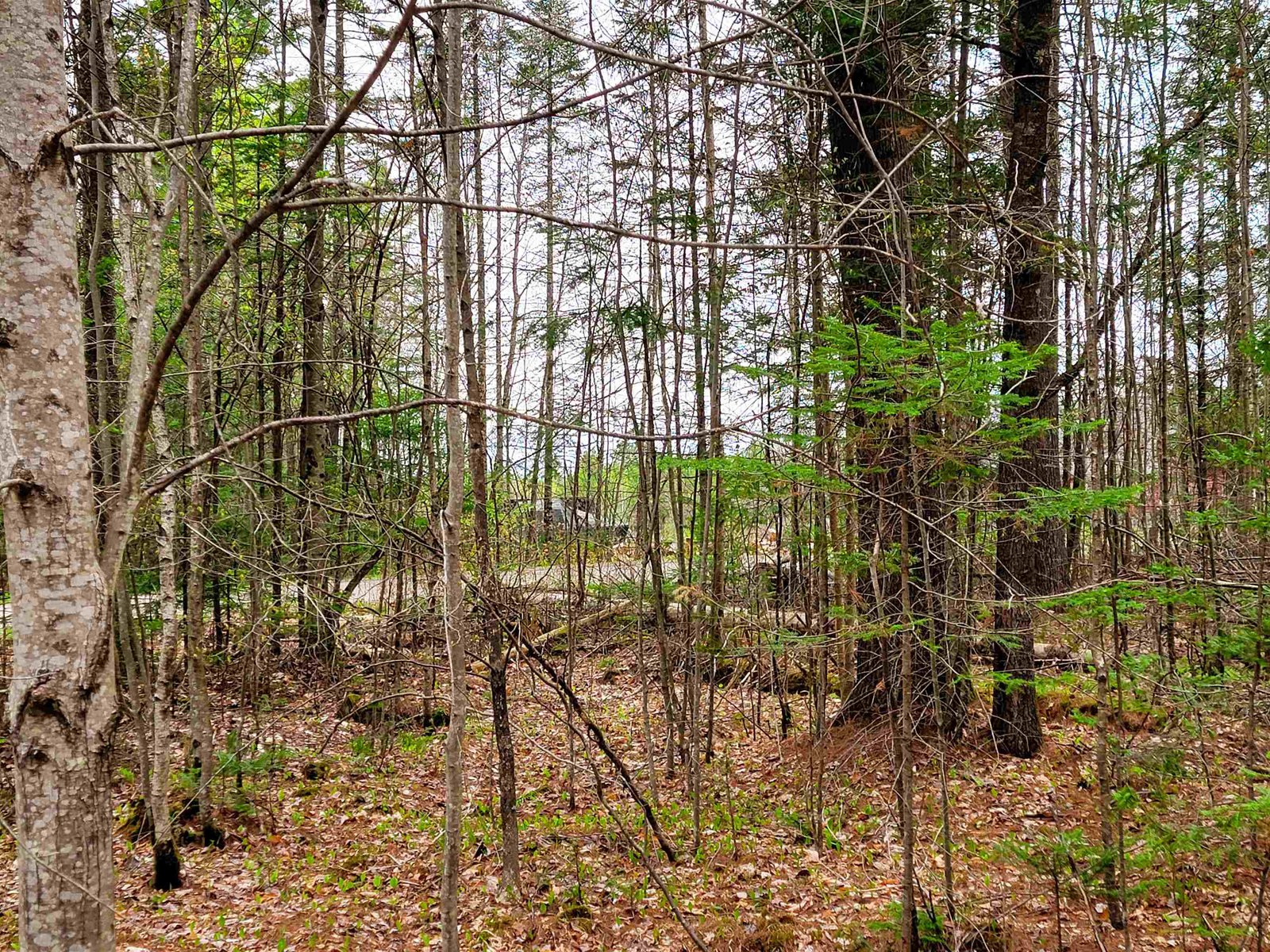 280 Guyette Road
