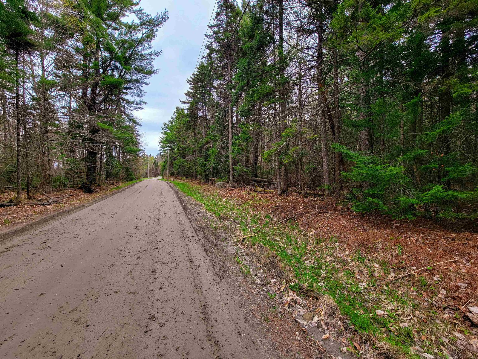 280 Guyette Road