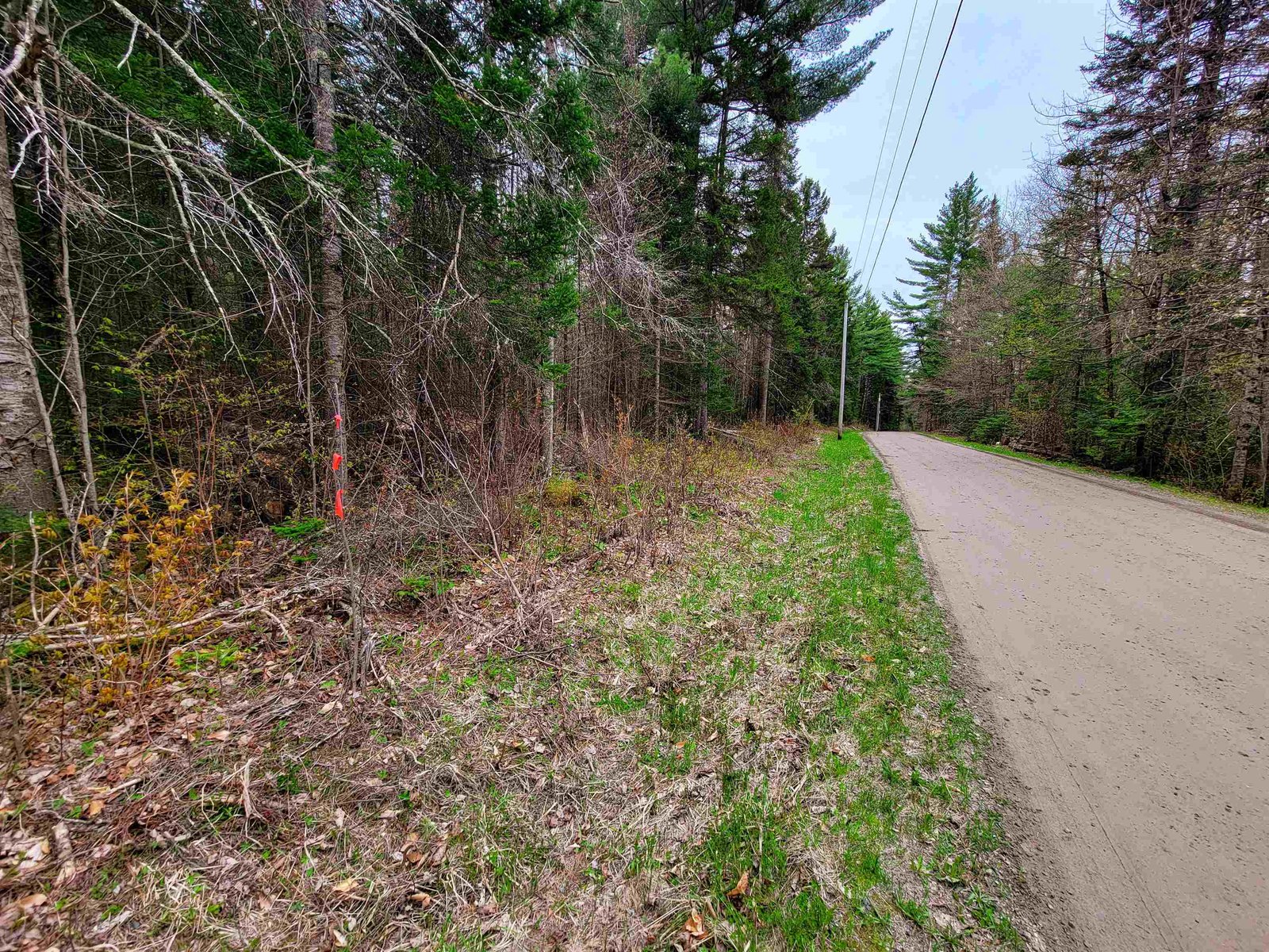 280 Guyette Road