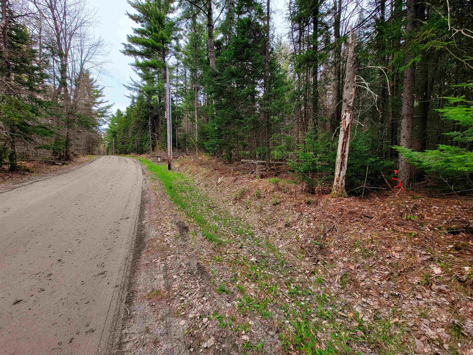 280 Guyette Road