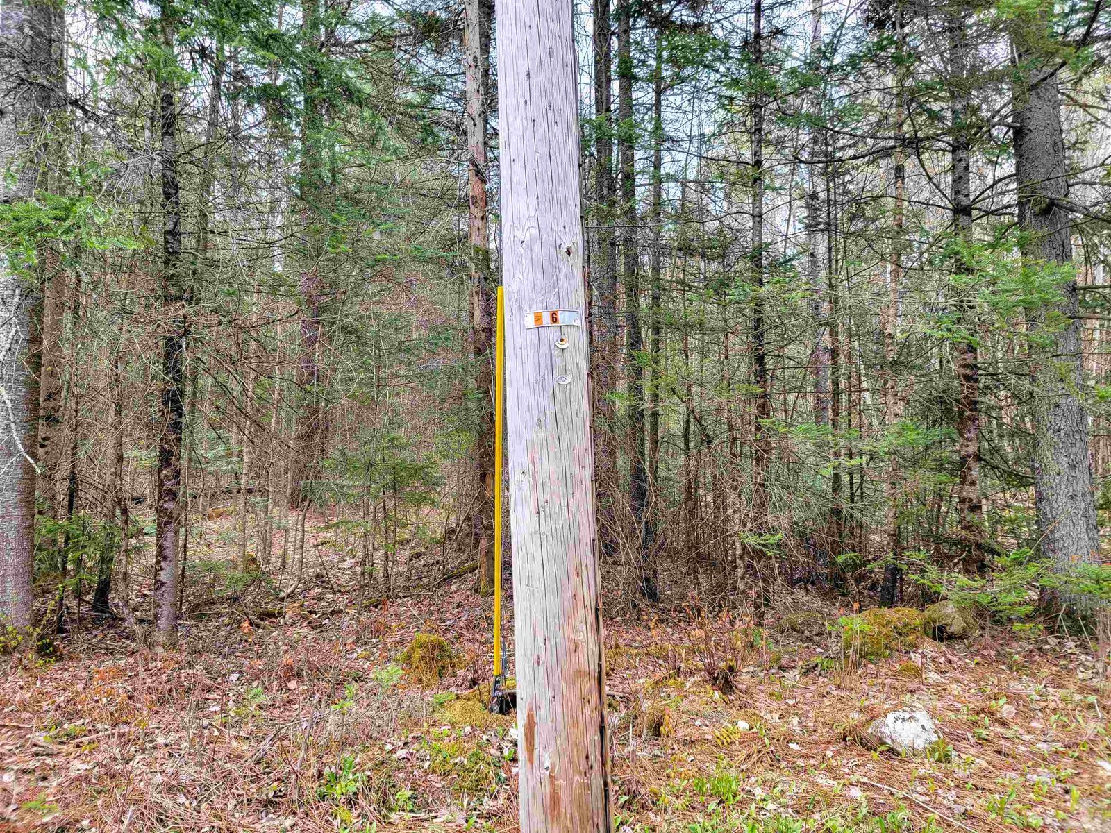 280 Guyette Road